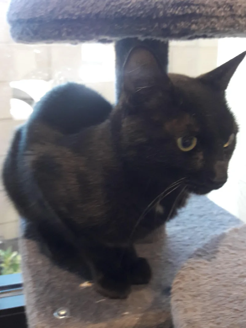 Sally thumbnail 2