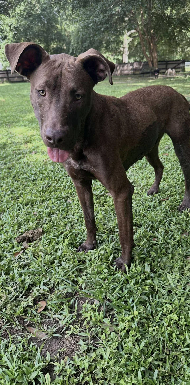 Mullican thumbnail 6