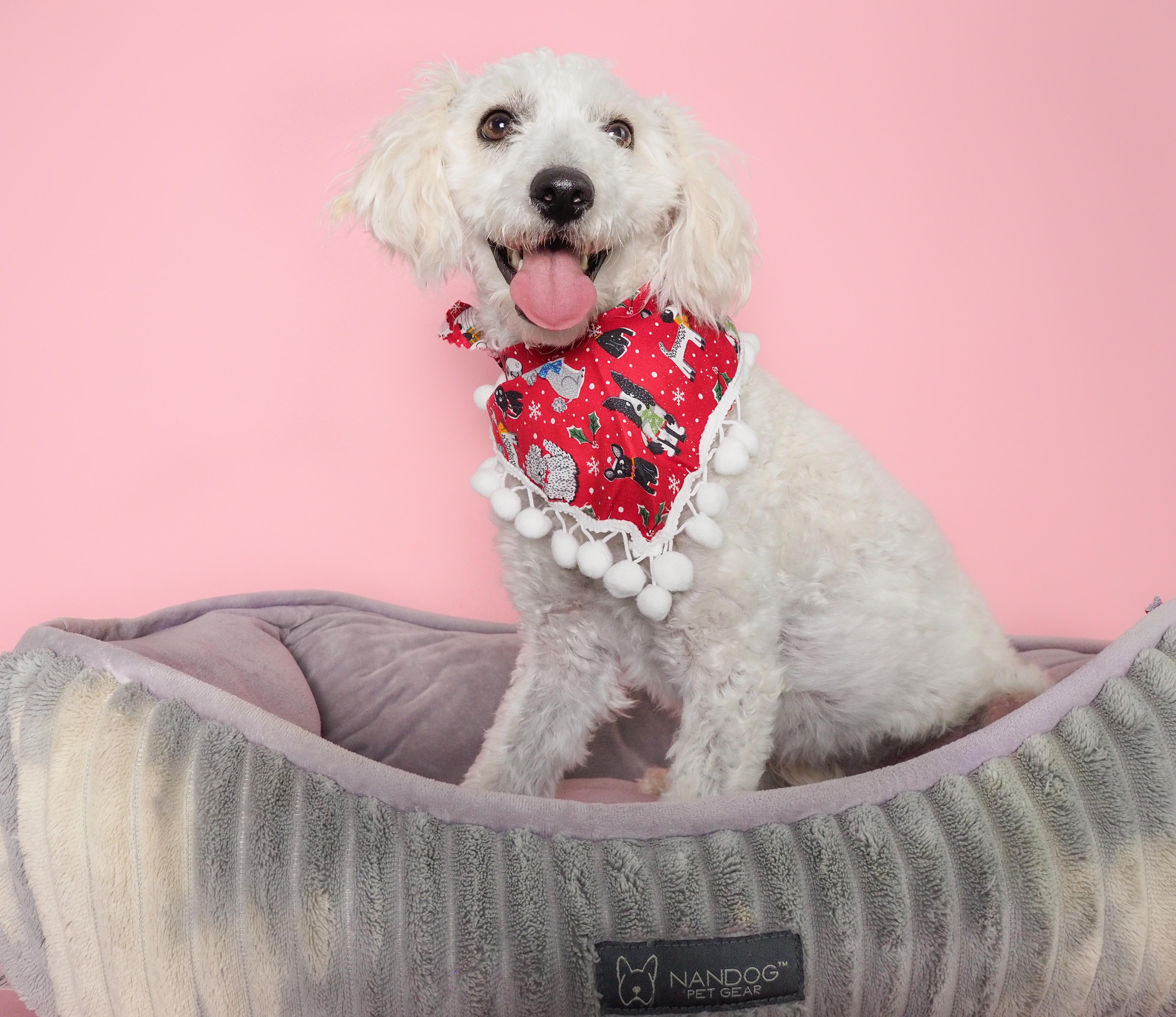 Noble & Majesty thumbnail 5