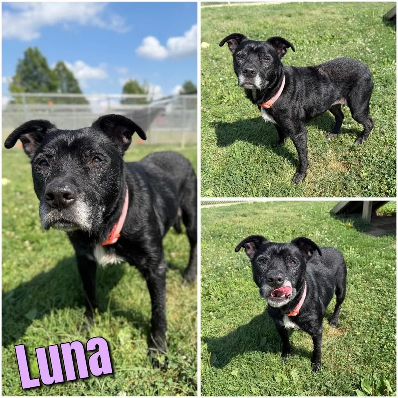 Luna  Sponsored thumbnail 2