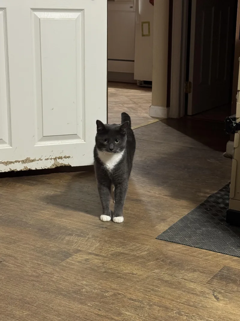 Reginald