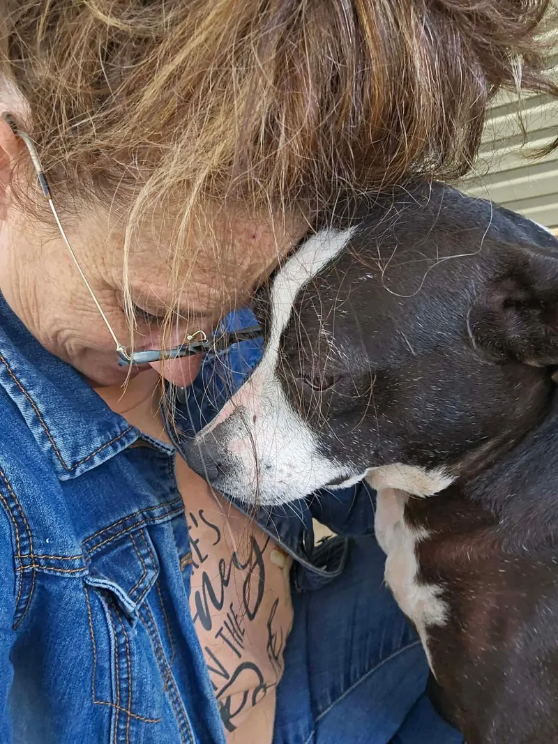 Pinky Grace Caligrace thumbnail 3