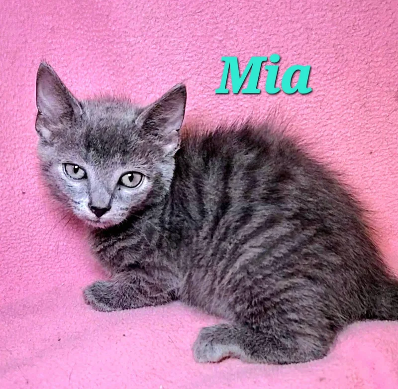 Mia thumbnail 2