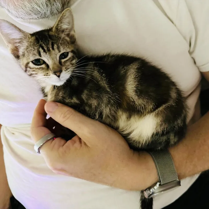 Cuddly little Texanna thumbnail 4
