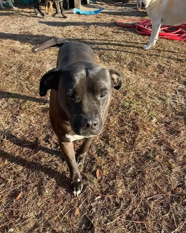 Maverick thumbnail 2