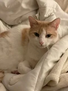 Charlie And Coco thumbnail 3