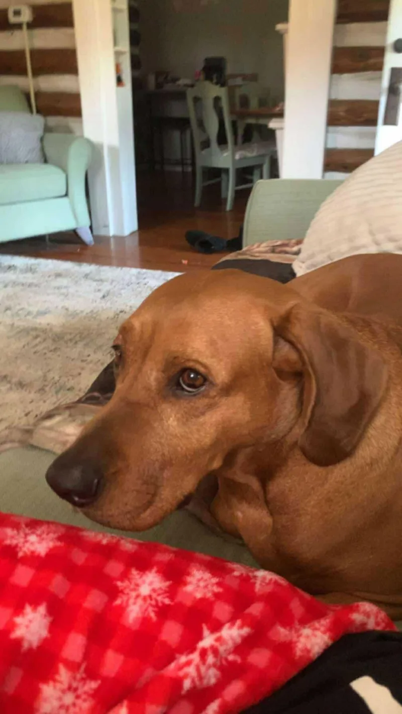 Red: "my Home To thumbnail 2