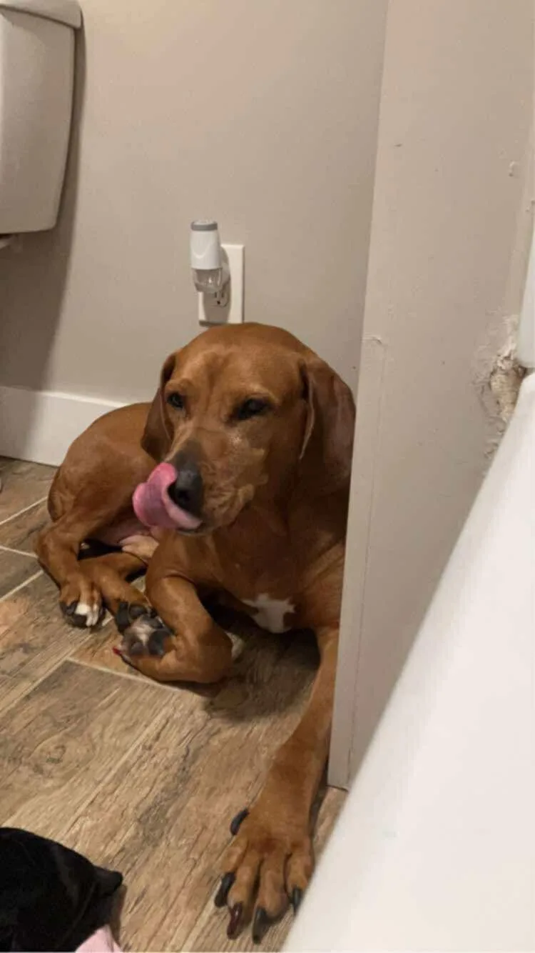 Red: "my Home To thumbnail 3