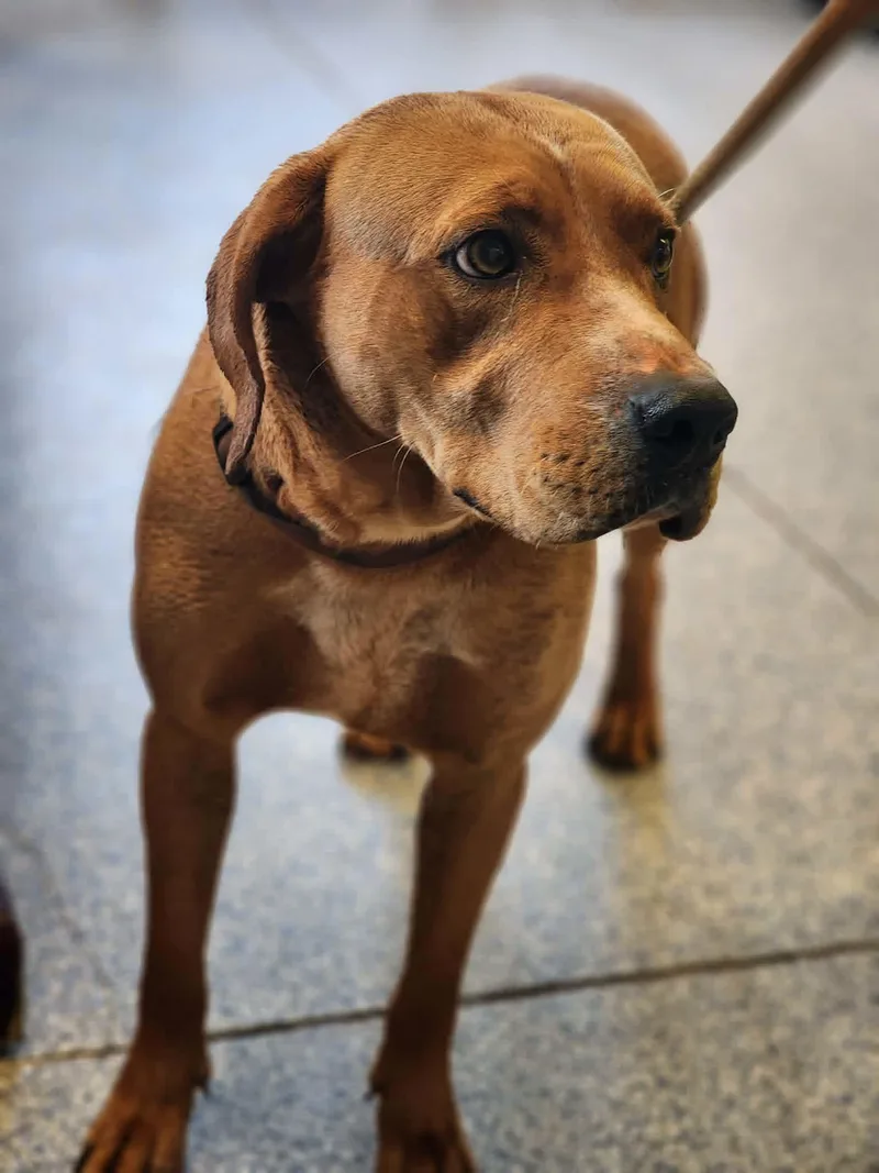 Tucker