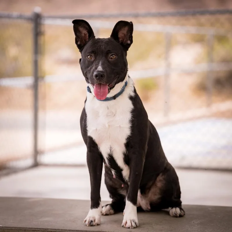 Lil Old Lady thumbnail 2