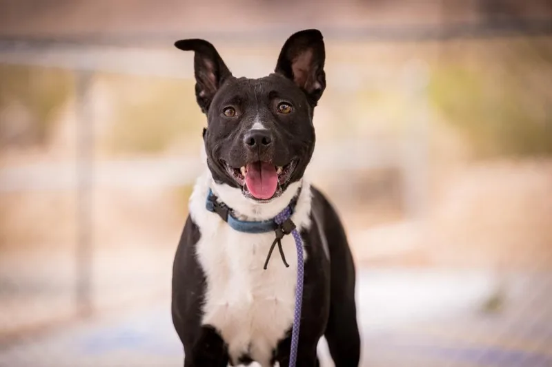 Lil Old Lady thumbnail 3