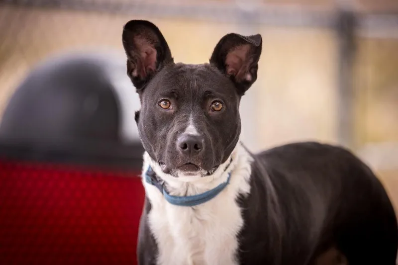 Lil Old Lady thumbnail 4