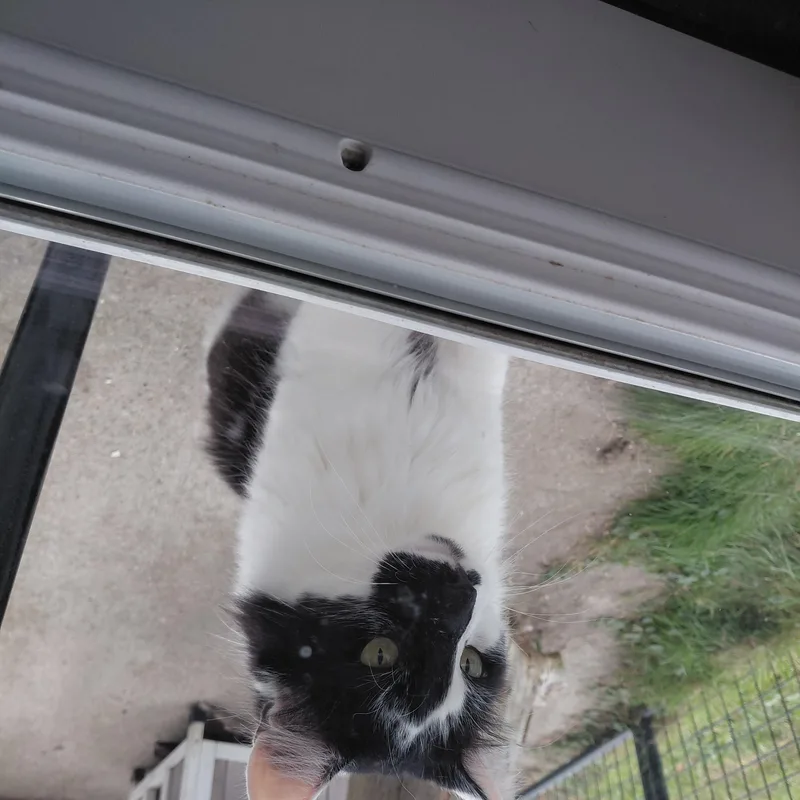Lenny thumbnail 4