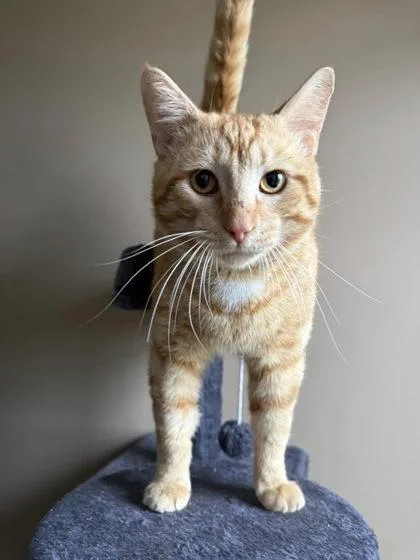 Jonathan Beyers thumbnail 2