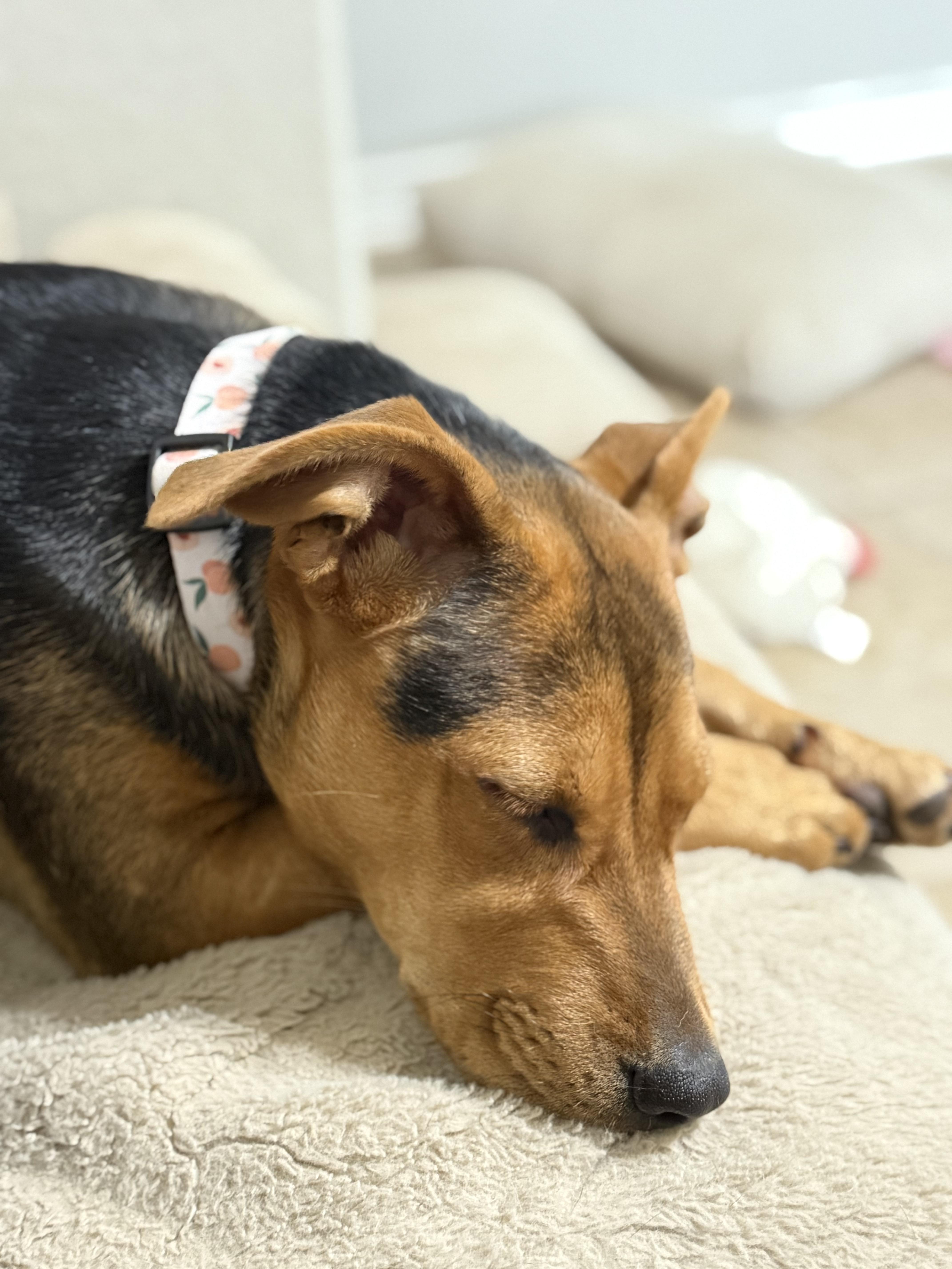 Peaches thumbnail 6