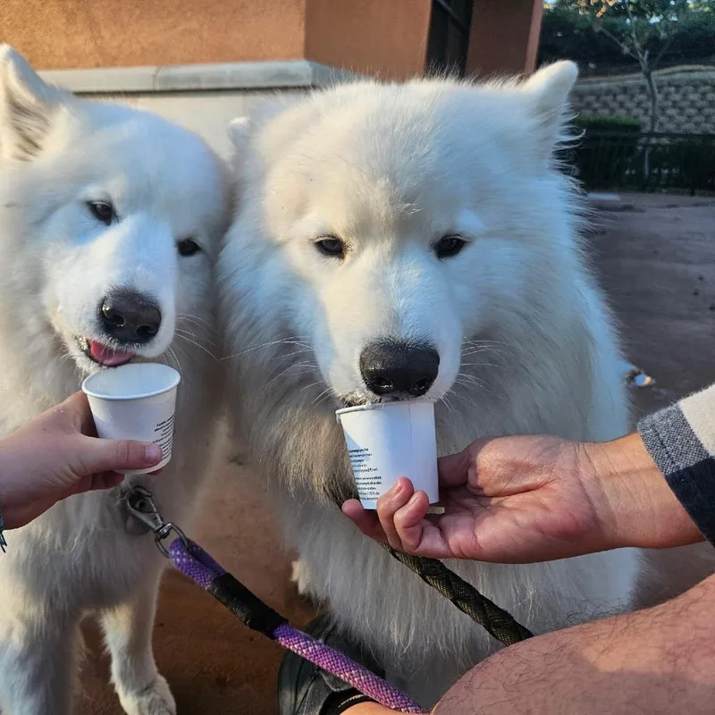 Einstein thumbnail 2