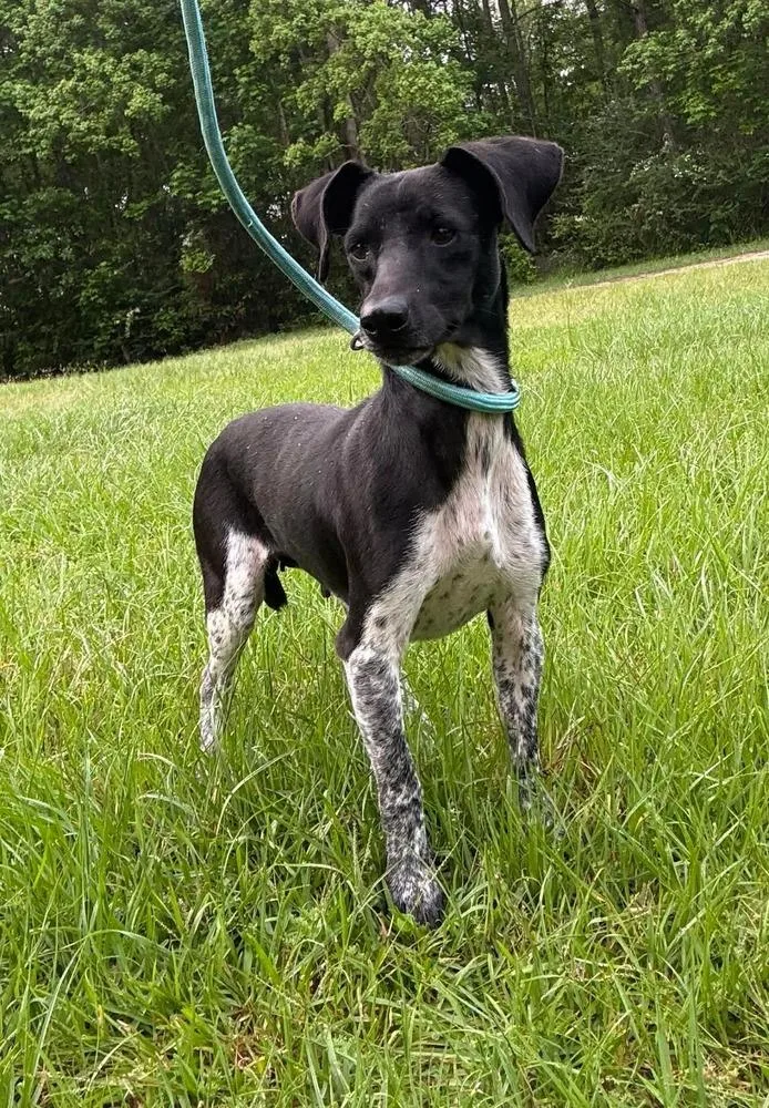 Sparkles thumbnail 2