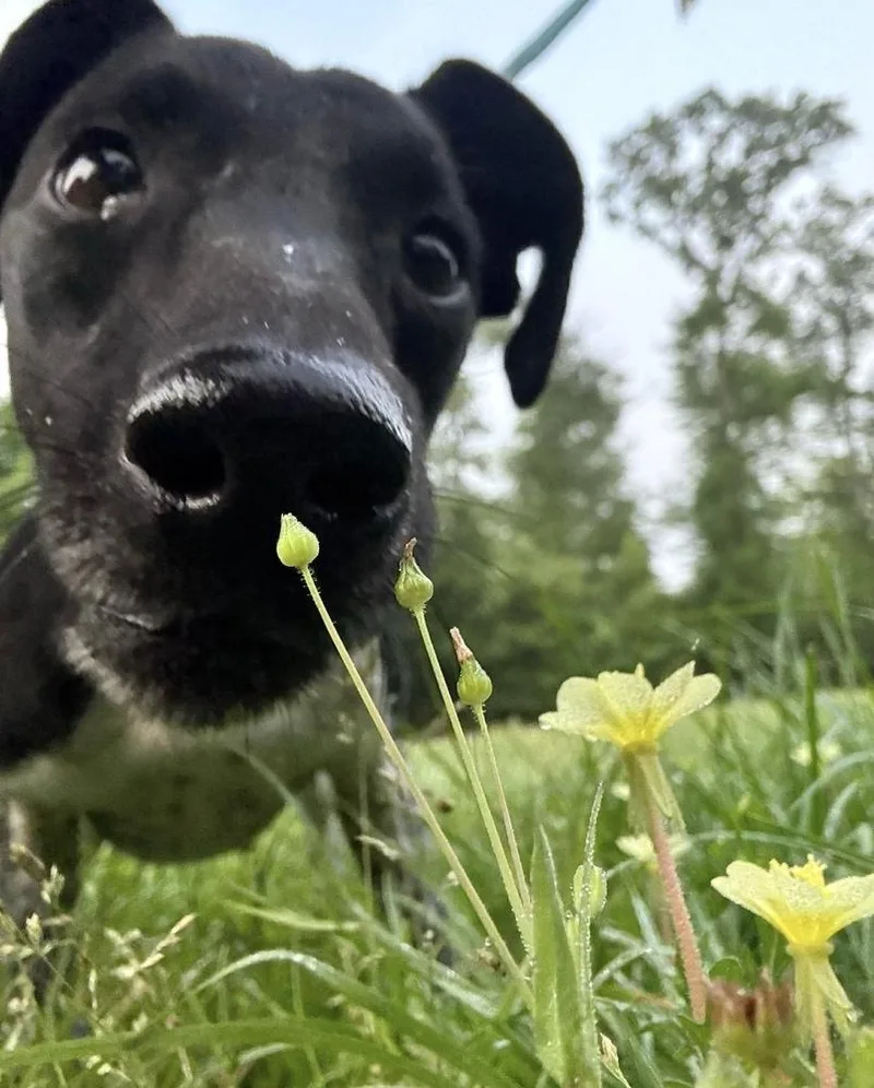 Sparkles thumbnail 3