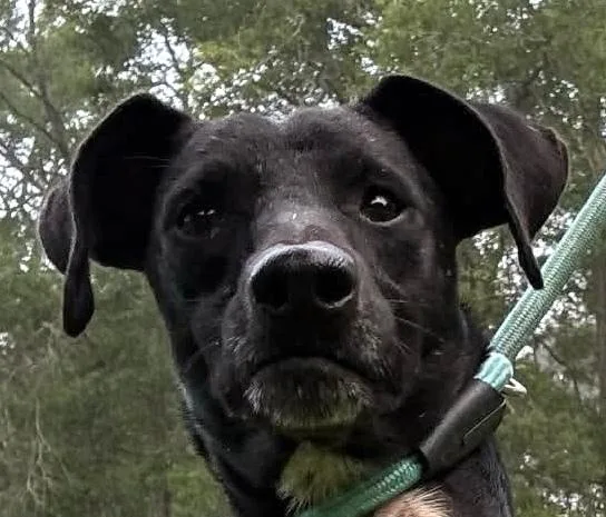 Sparkles thumbnail 4