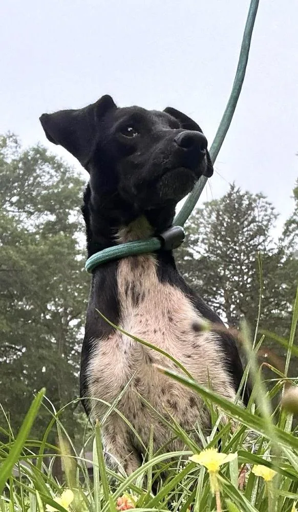 Sparkles thumbnail 5