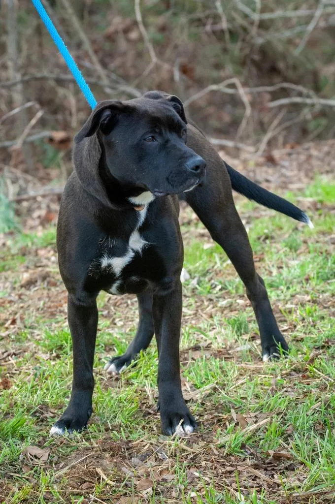 Puckfinley thumbnail 2