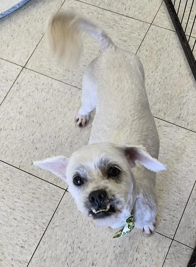 Cyclopse thumbnail 2