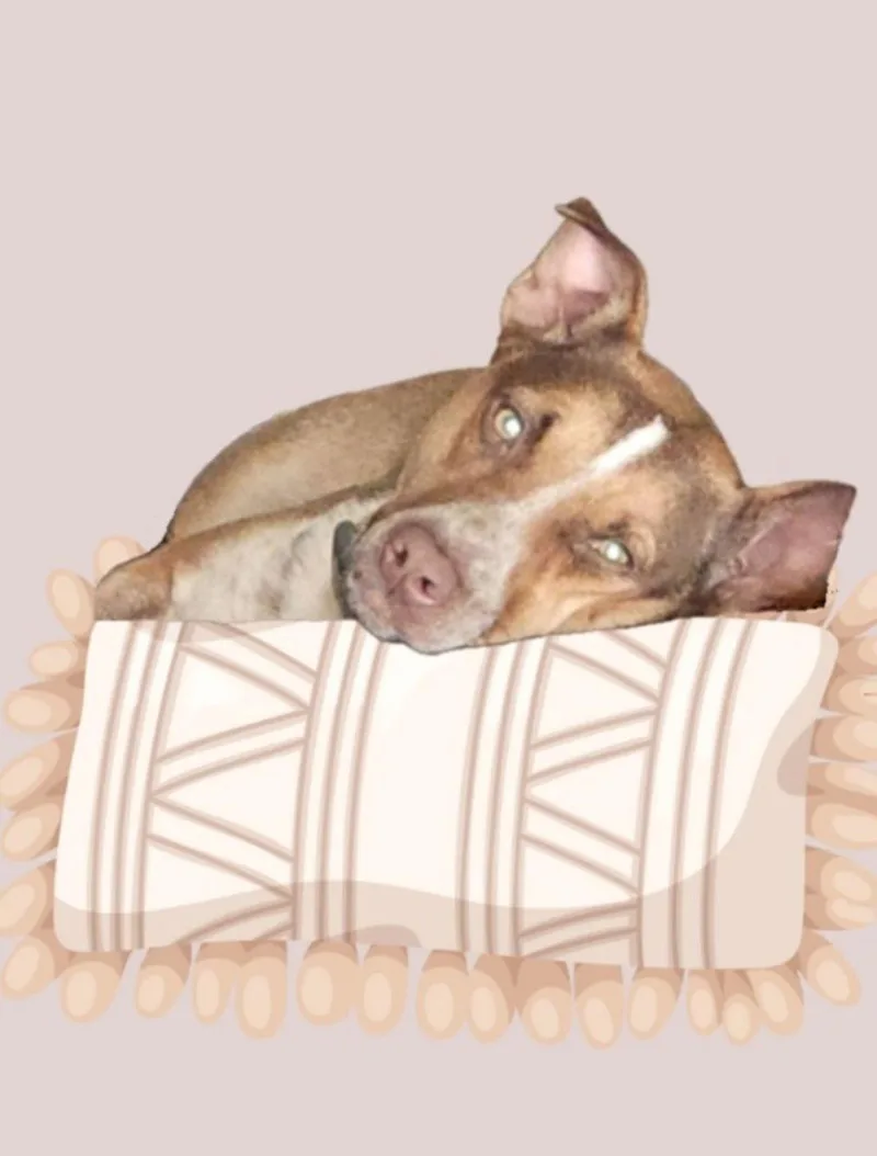 Lilly Beth thumbnail 3