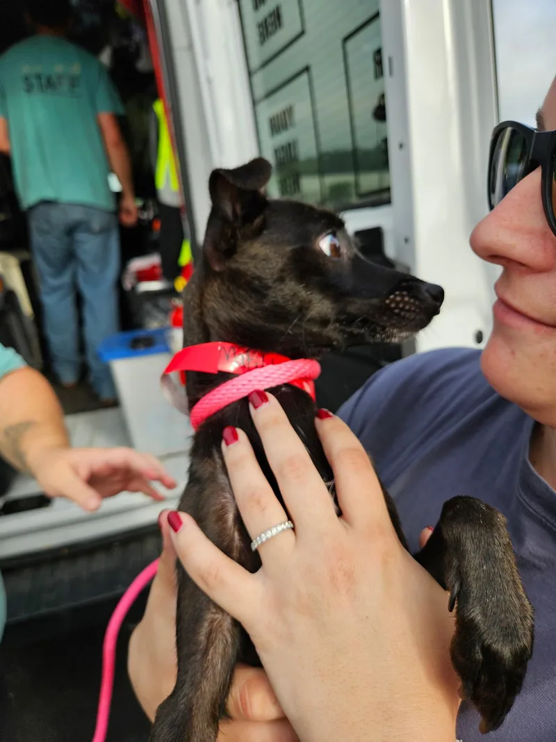 Momma Millie thumbnail 2