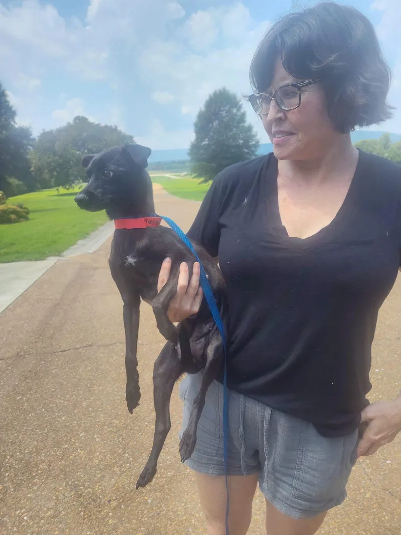 Momma Millie thumbnail 4