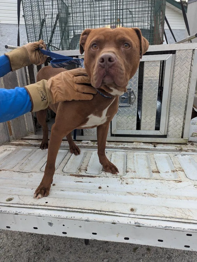 Kingston thumbnail 2