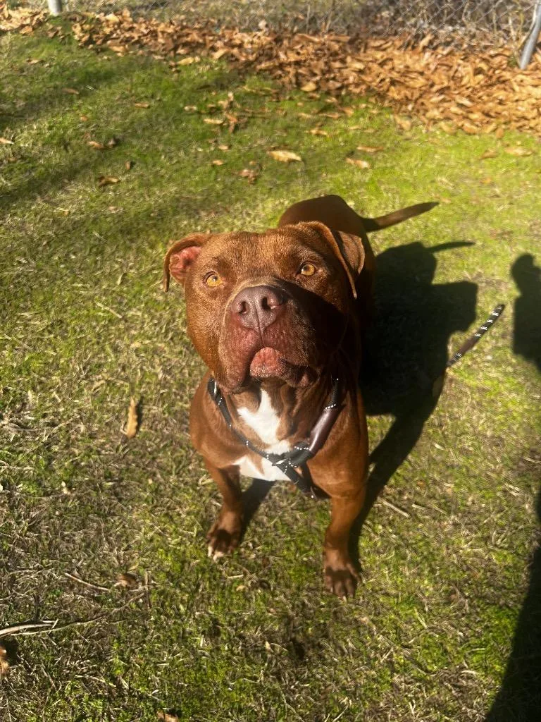 Kingston thumbnail 3