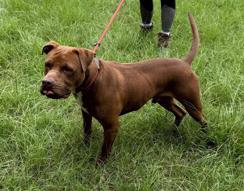 Kingston thumbnail 5