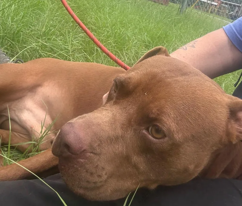 Kingston thumbnail 6