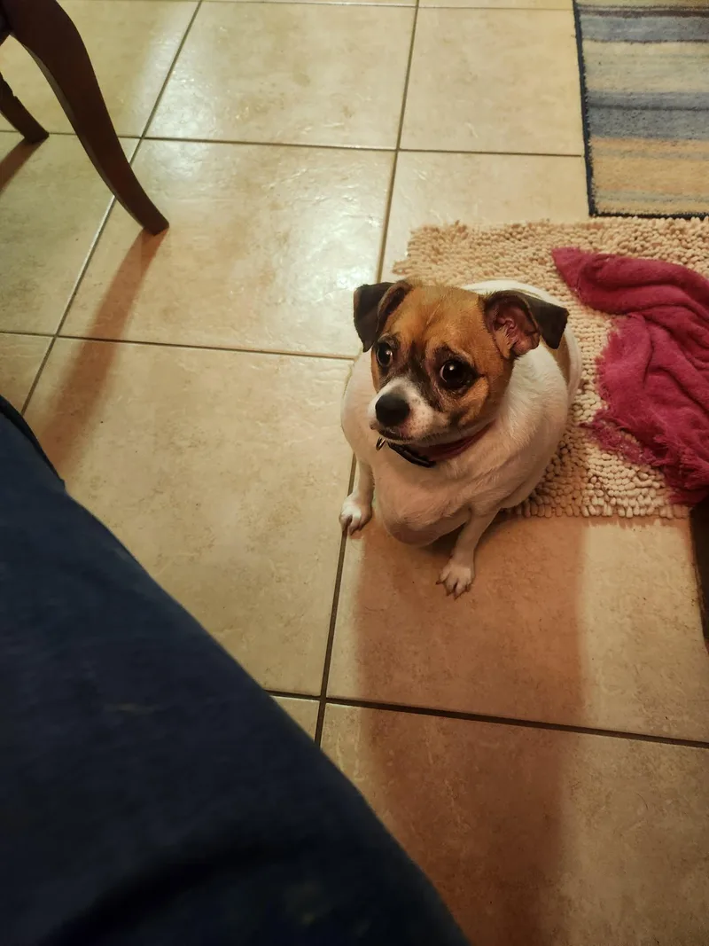 Trixie Moore thumbnail 2