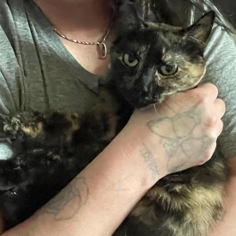 Josephine thumbnail 3