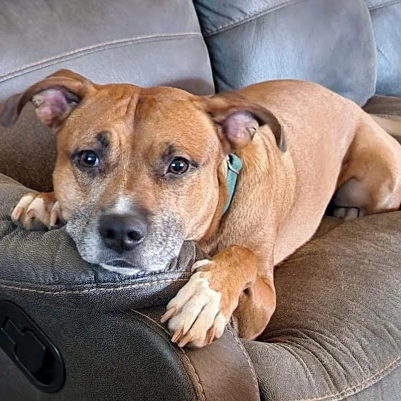 Loki thumbnail 6