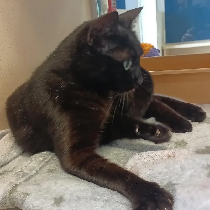 Christy Moore thumbnail 2