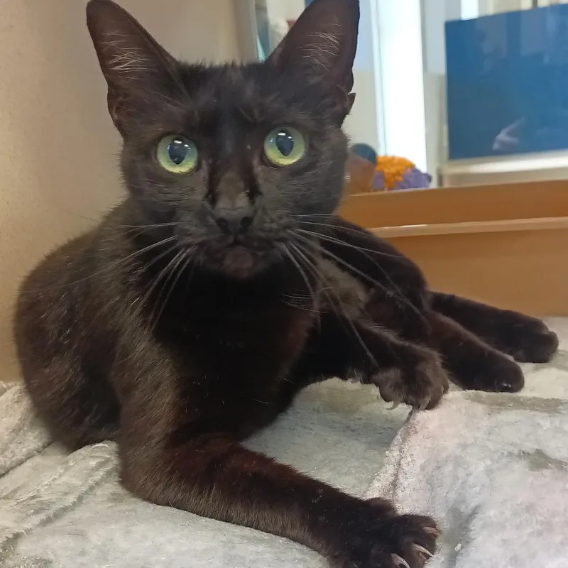 Christy Moore thumbnail 3