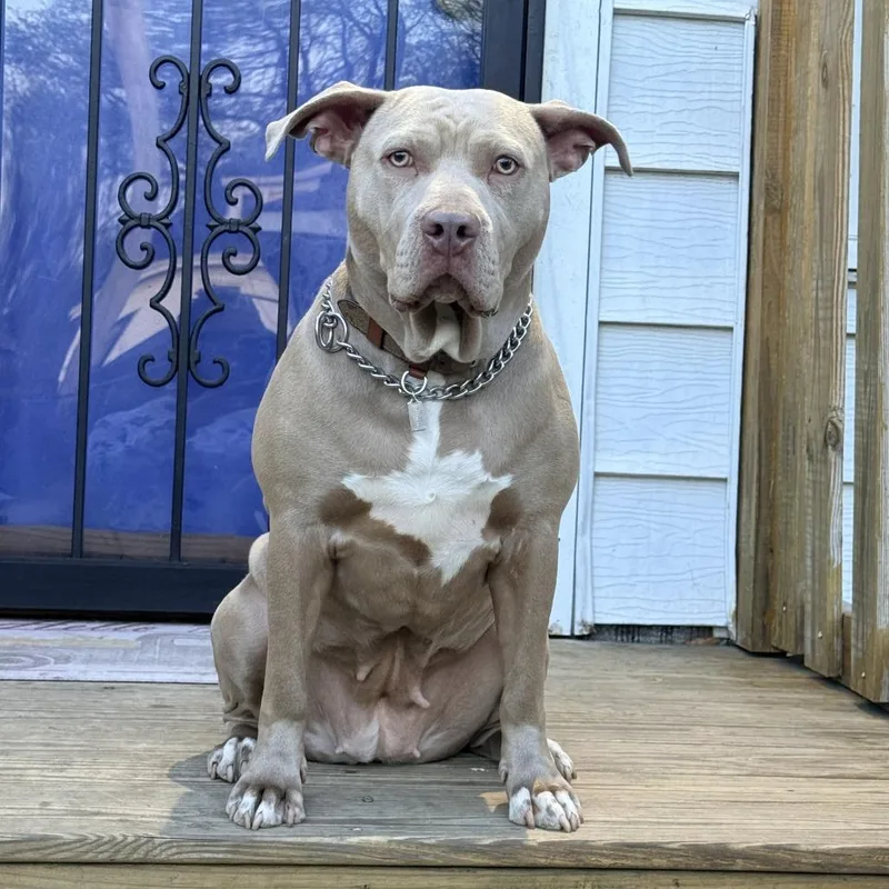 Nala thumbnail 2