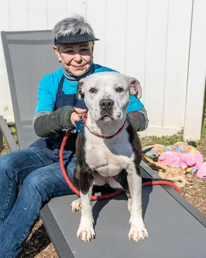 An adult medium-sized female Mixed Breed dog named Marionberry for adoption in Chamblee, GA