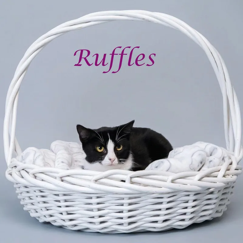 Ruffles C thumbnail 2