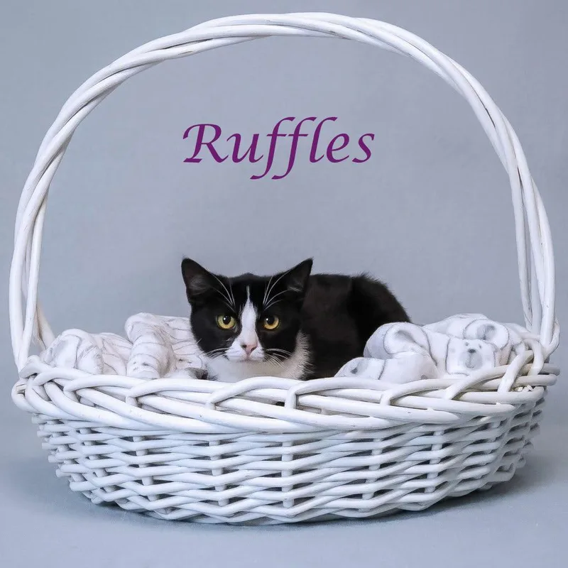 Ruffles C thumbnail 3