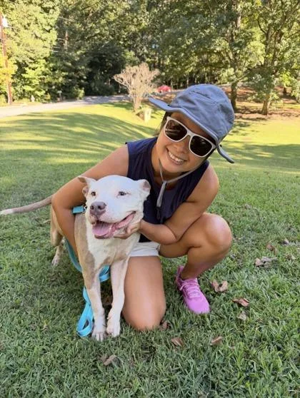 An adult large-sized female Mixed Breed dog named Mitzi for adoption in Chamblee, GA