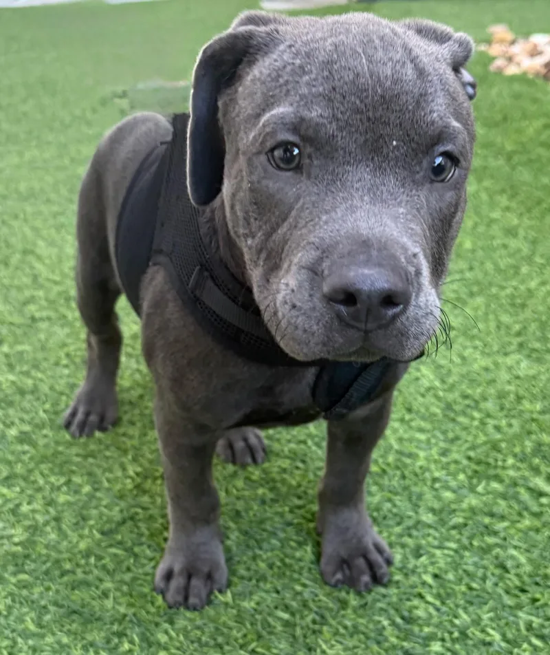 Floyd thumbnail 2