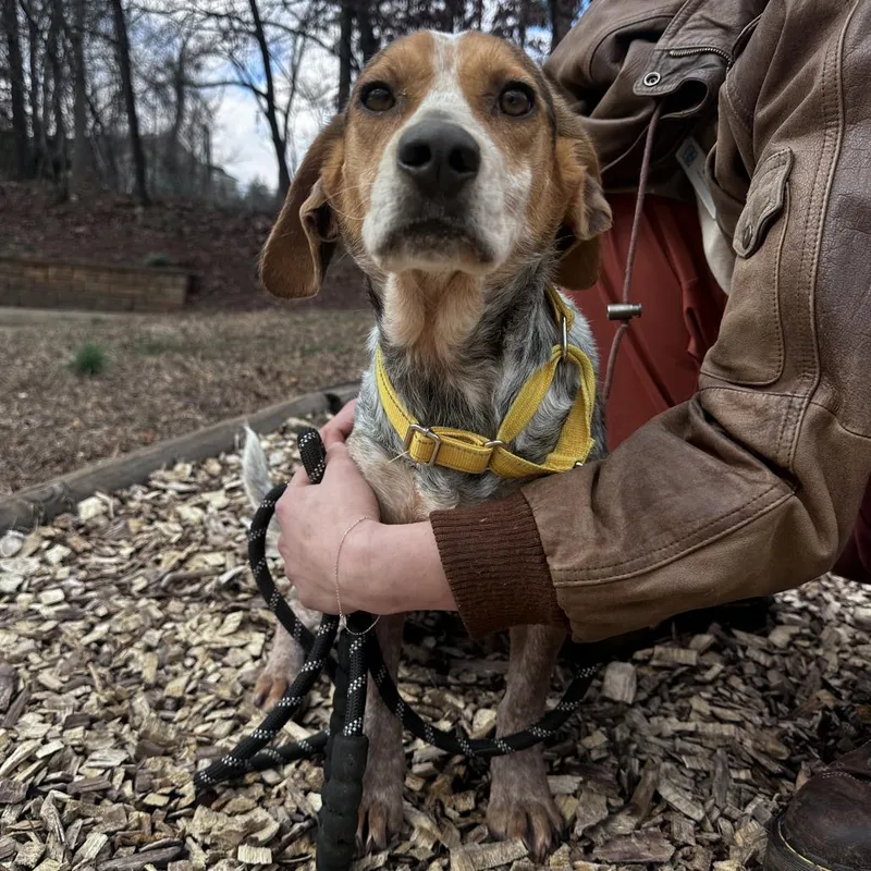 Martha's Your Aunt thumbnail 2