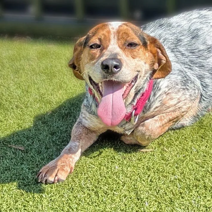 Martha's Your Aunt thumbnail 3