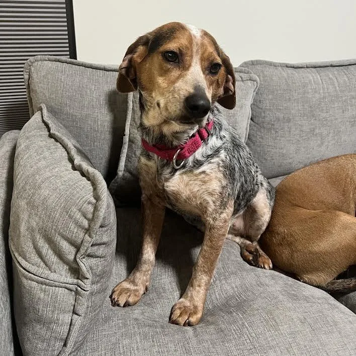 Martha's Your Aunt thumbnail 4