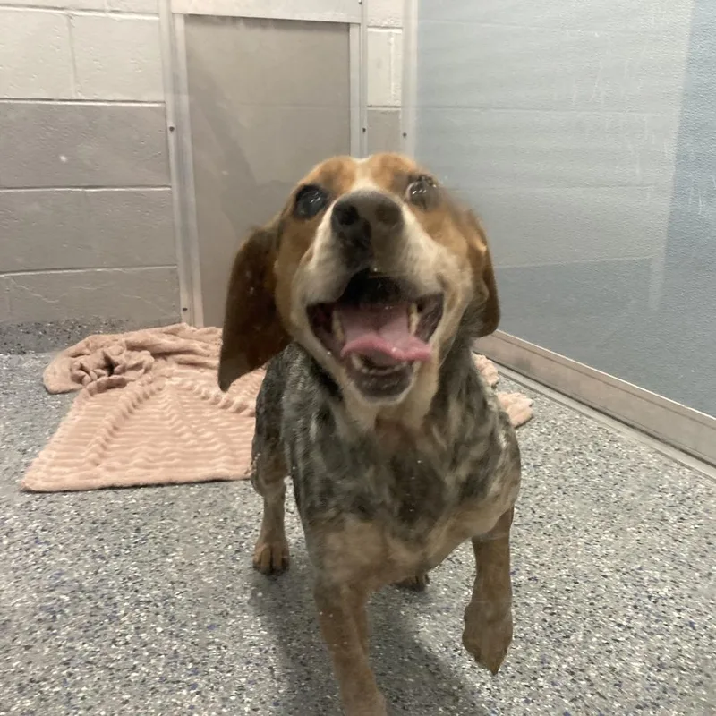 Martha's Your Aunt thumbnail 5