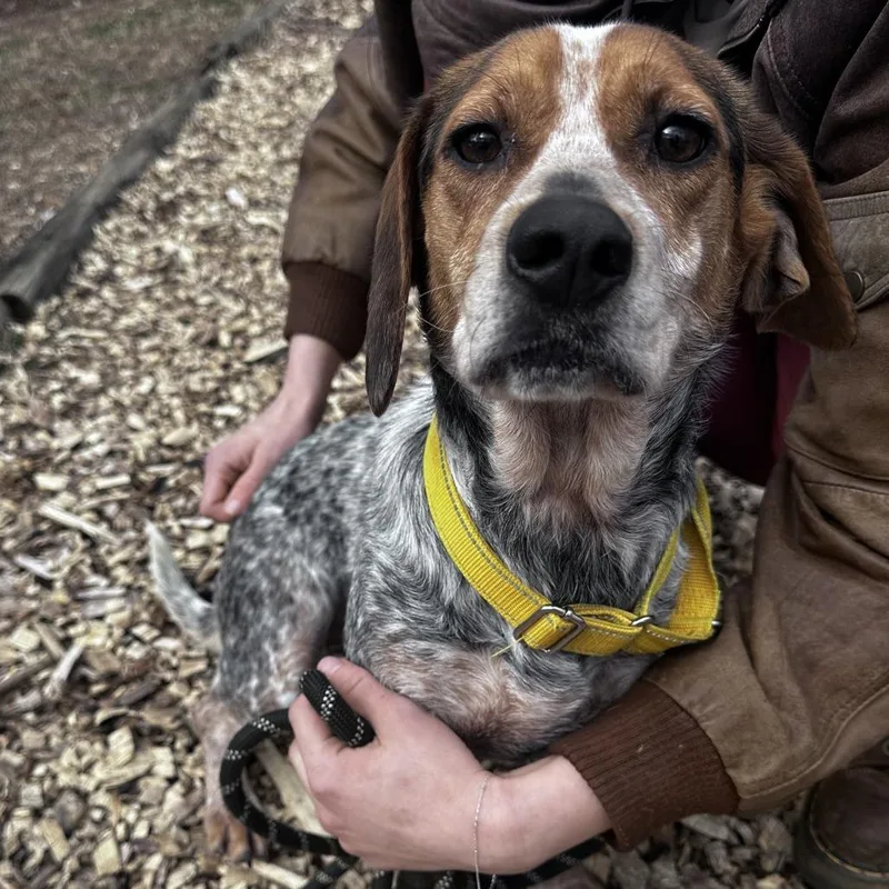 Martha's Your Aunt thumbnail 6