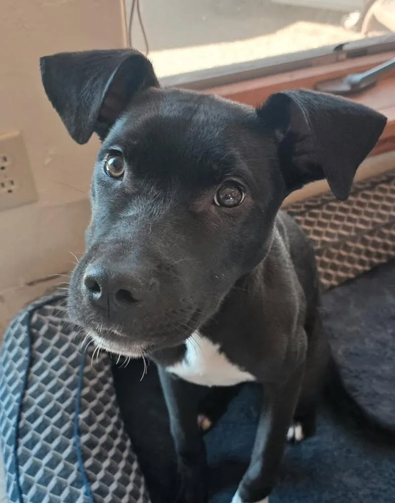 Jax